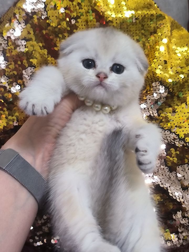300 USD