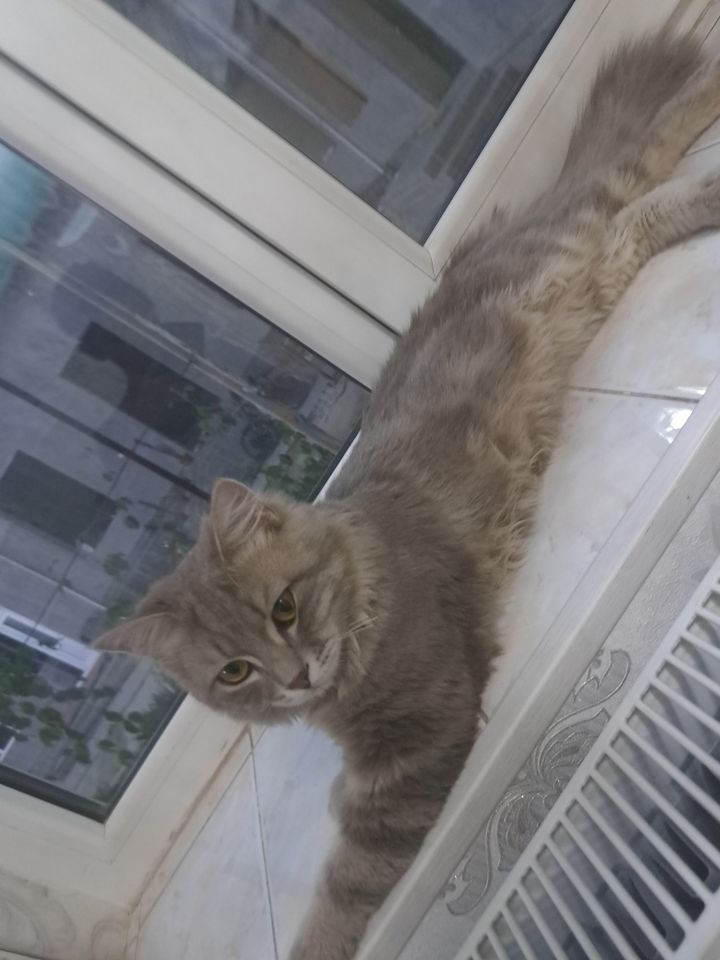 1 300 000 сум