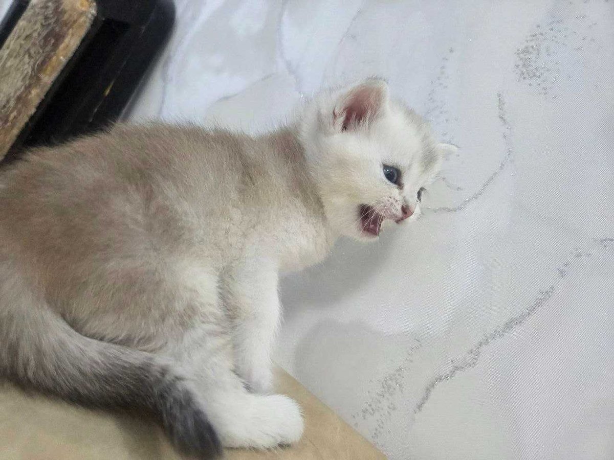 120 USD