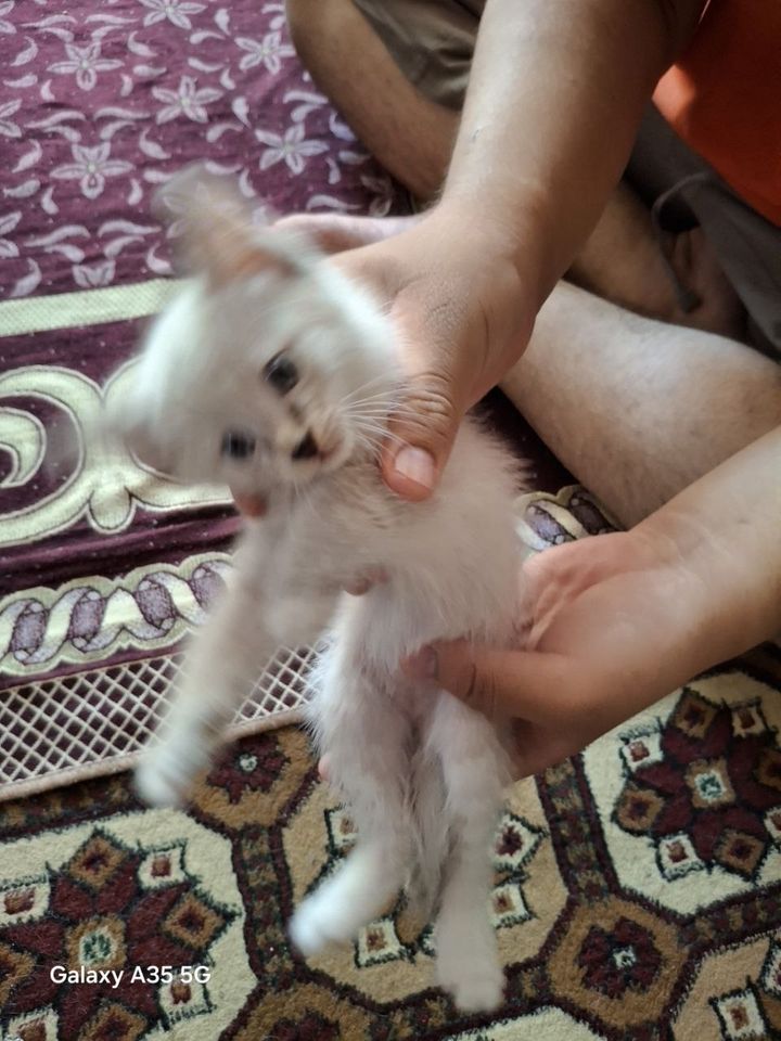 100 000 сум