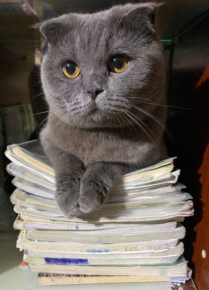 3 000 000 сум