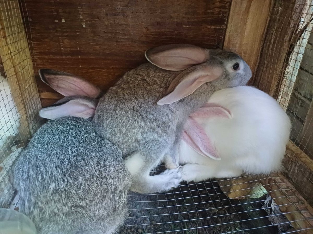 100 000 сум