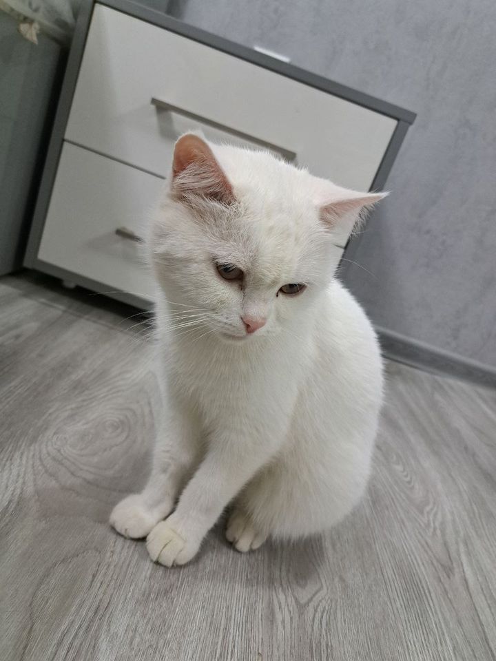 1 800 000 сум