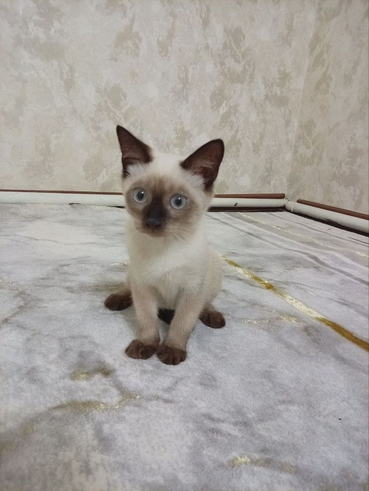 200 000 сум