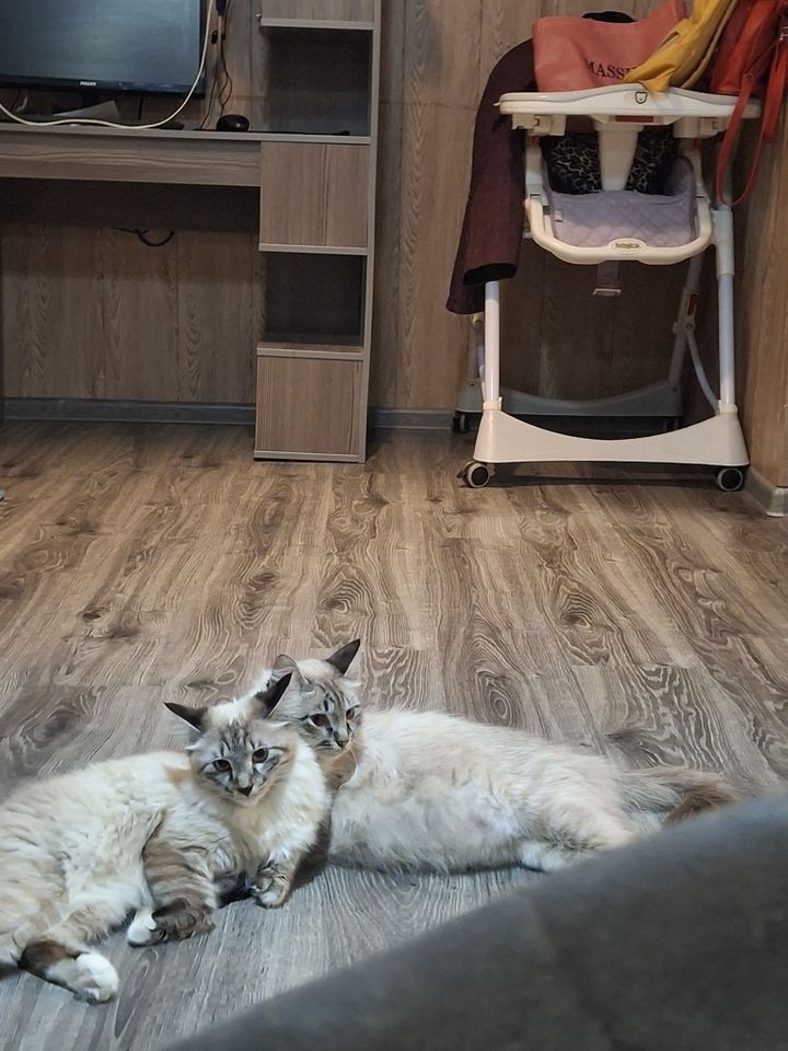 400 000 сум