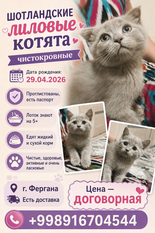 800 000 UZS