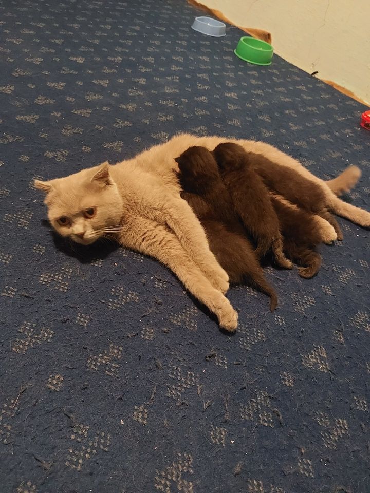 100 000 сум
