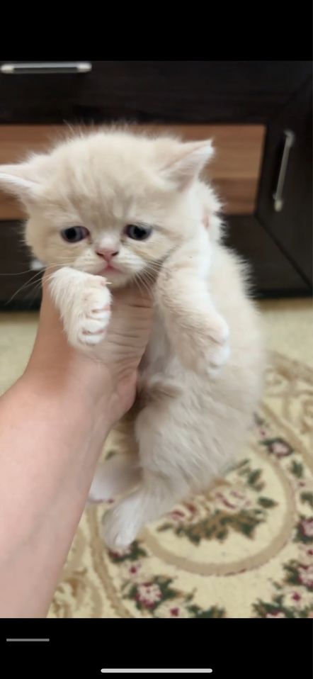 50 USD