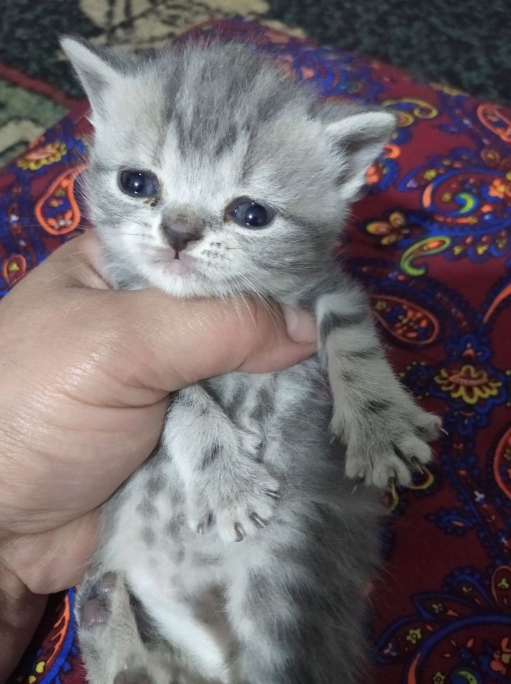 40 USD