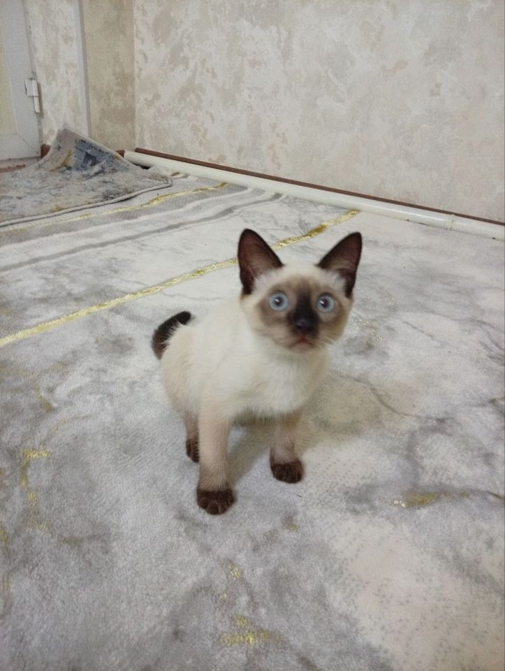 200 000 сум
