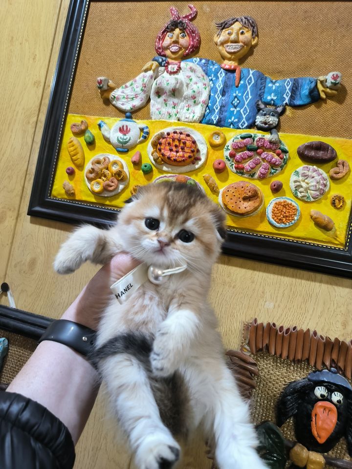 350 USD