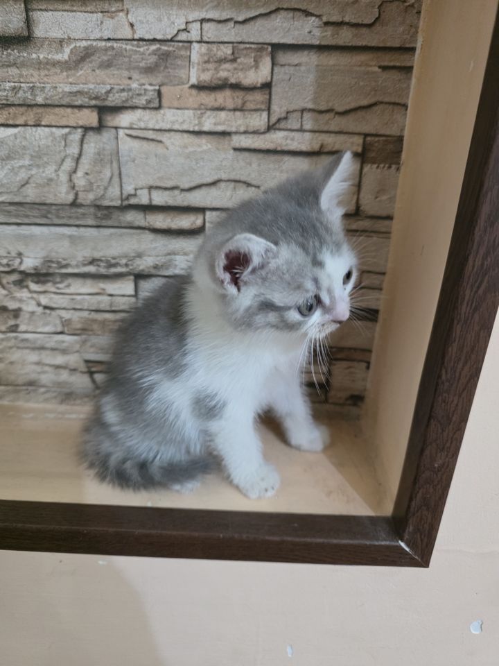 150 000 сум