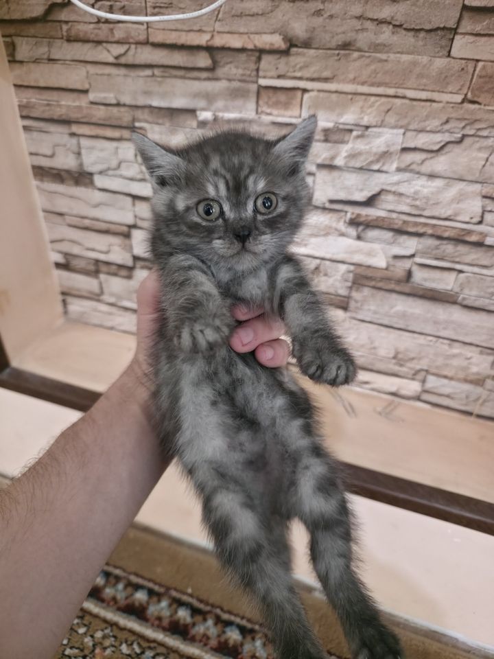 150 000 сум