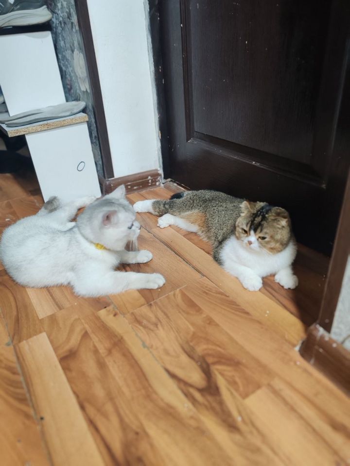 500 000 сум