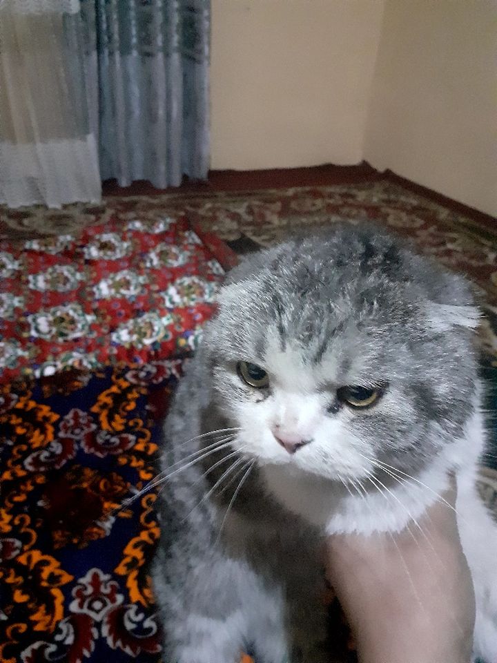 400 000 сум