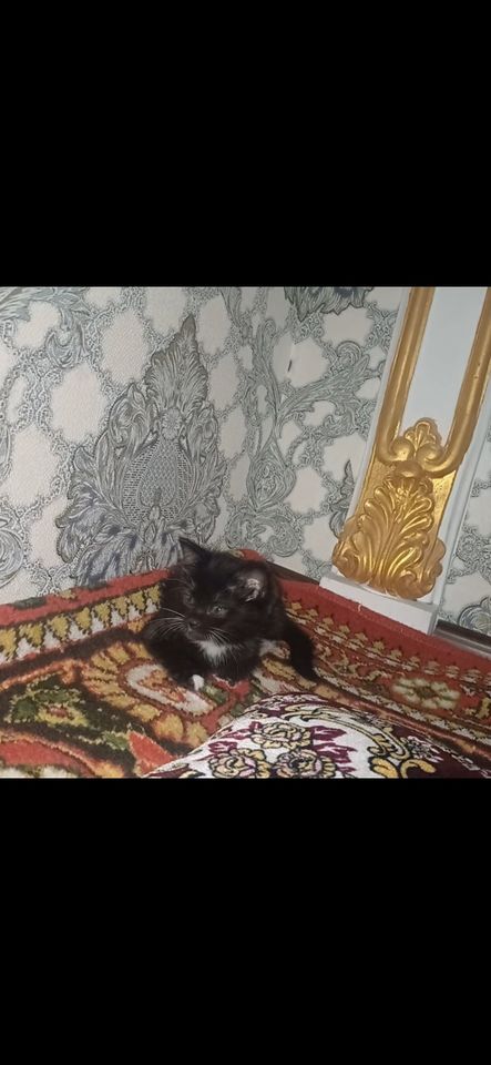 100 000 сум