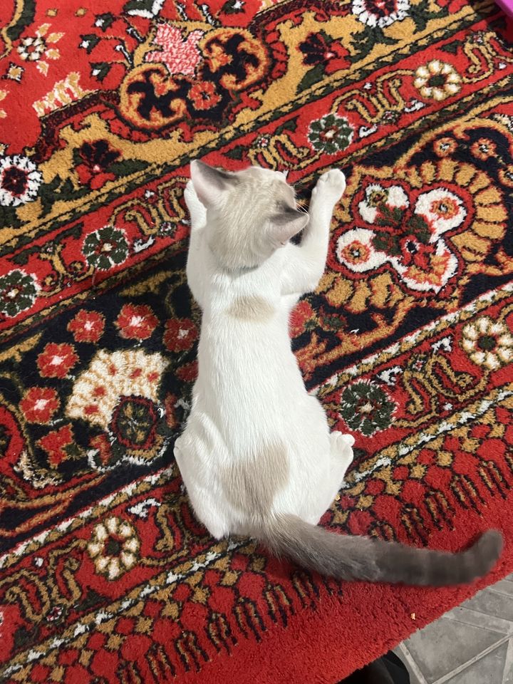 400 000 сум
