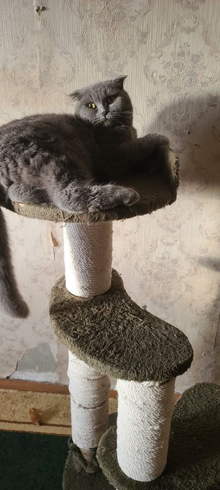 200 000 сум