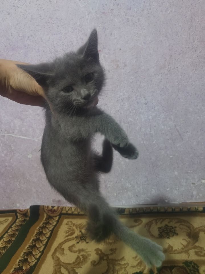 300 000 сум