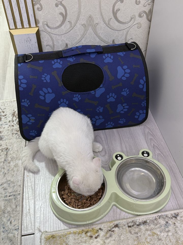 115 USD