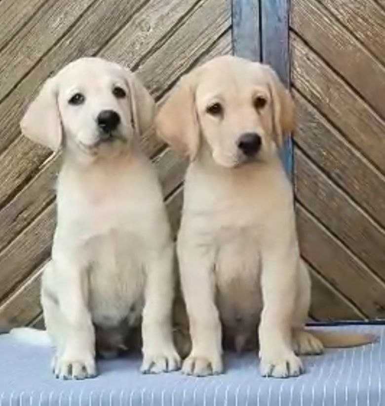 3 000 000 сум