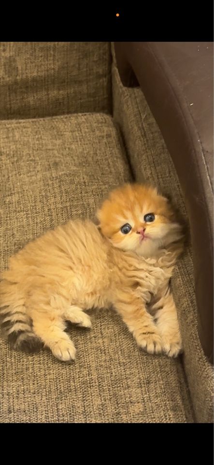 150 USD