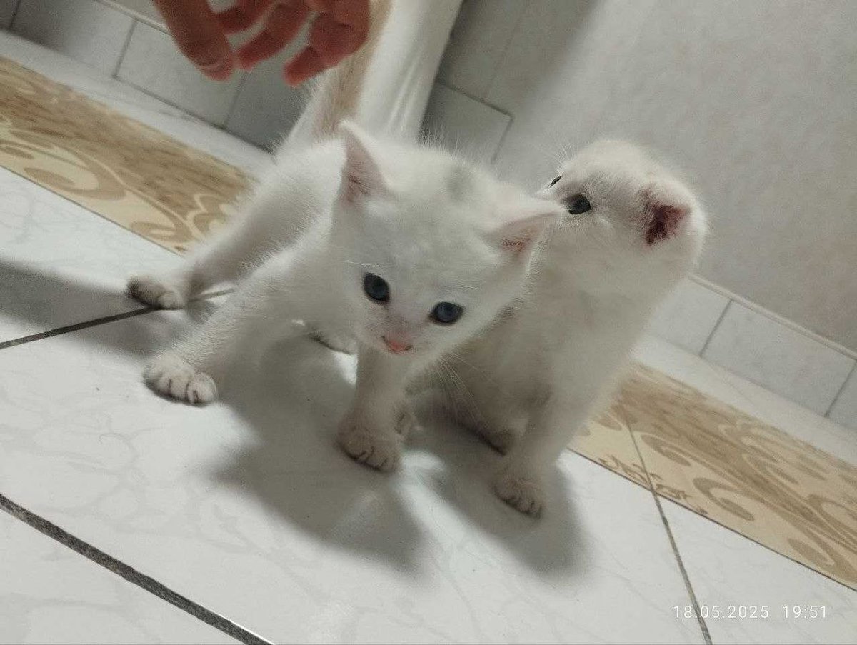 400 000 сум
