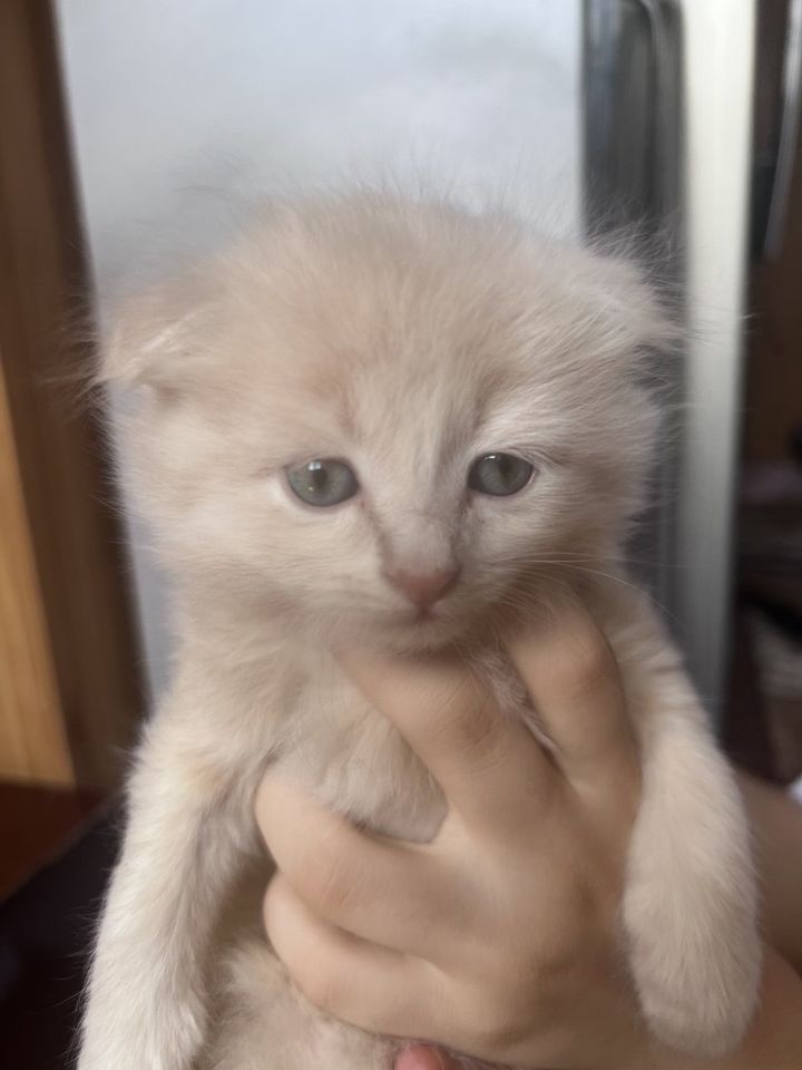 150 USD