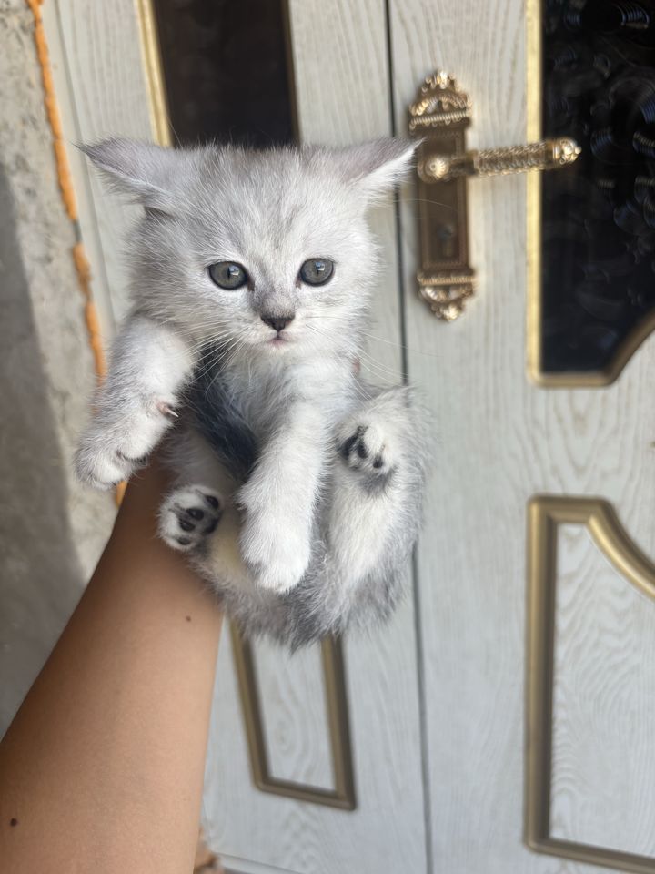 500 000 сум