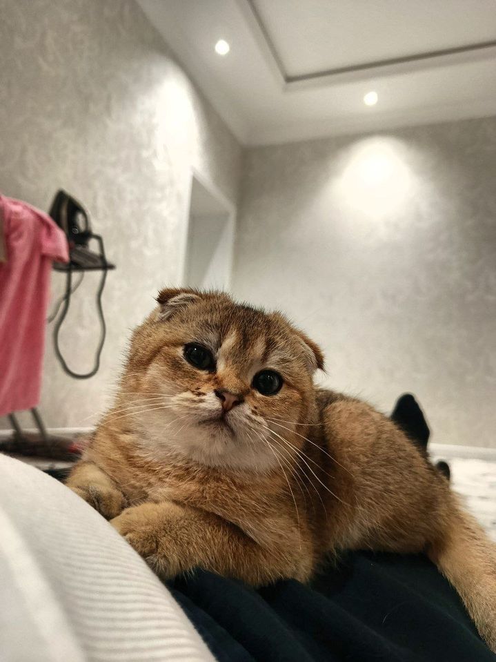 150 USD