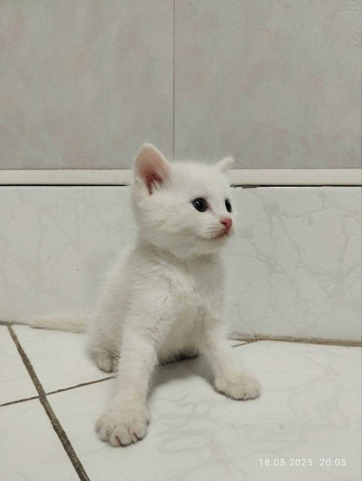 400 000 сум