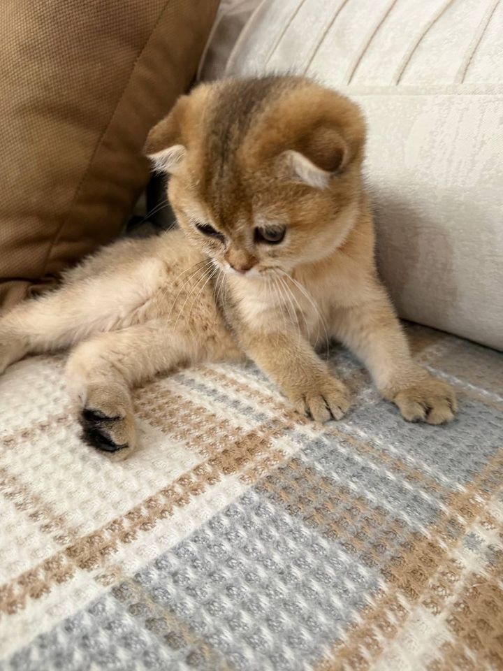 170 USD