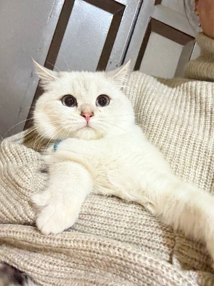180 USD