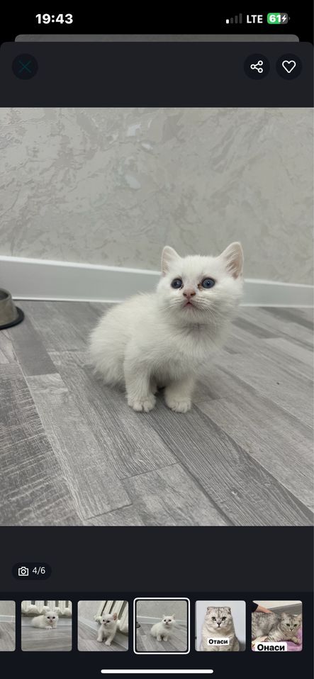 200 000 сум