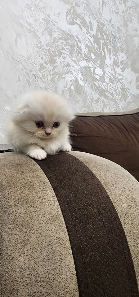 150 USD