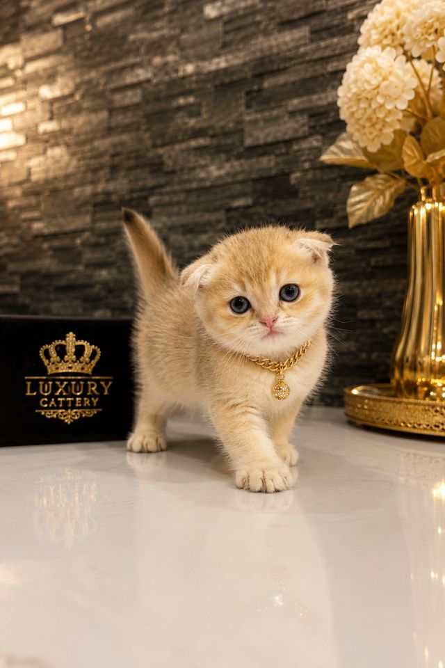150 USD