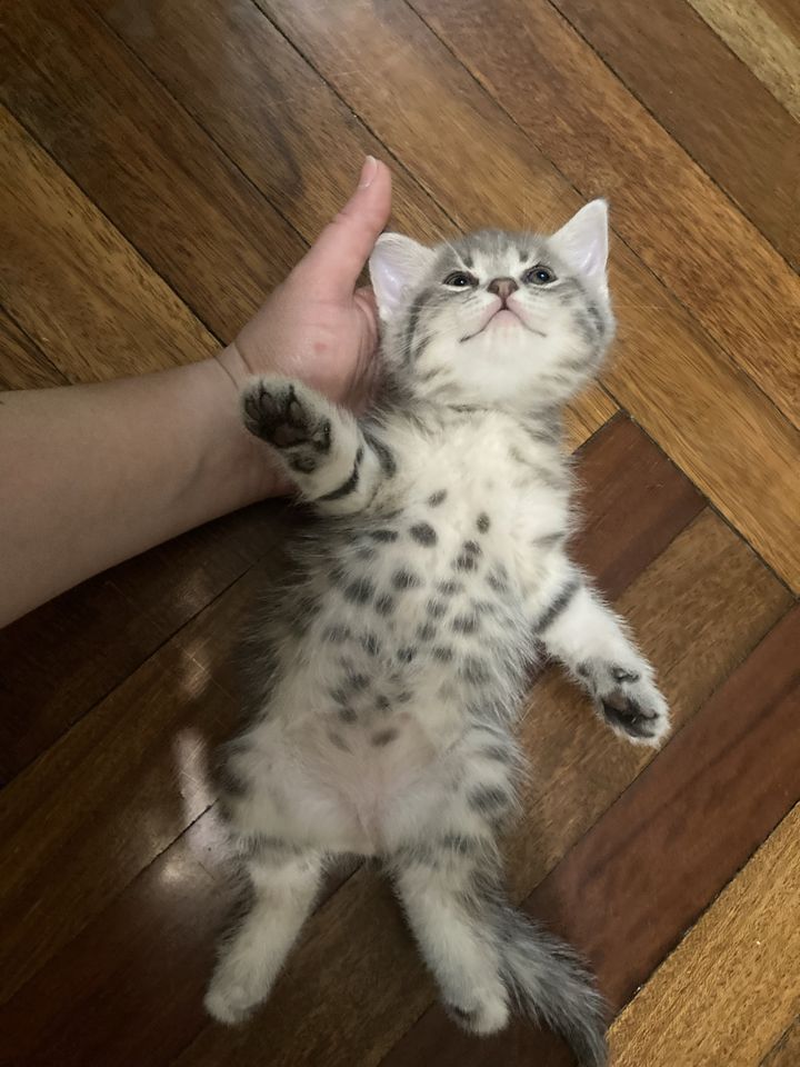 950 000 сум