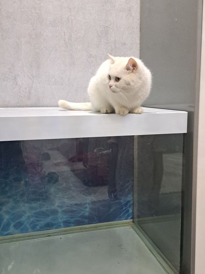 1 800 000 сум