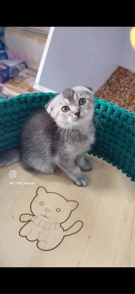 400 000 сум