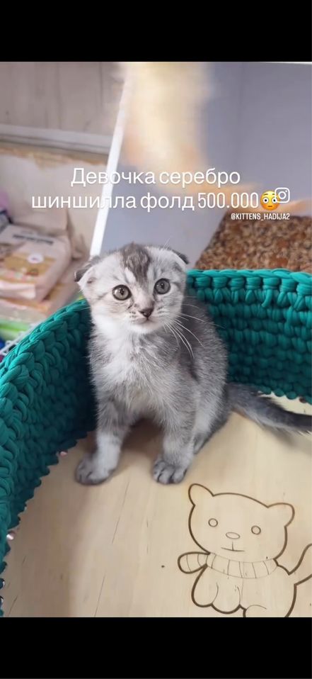 400 000 сум