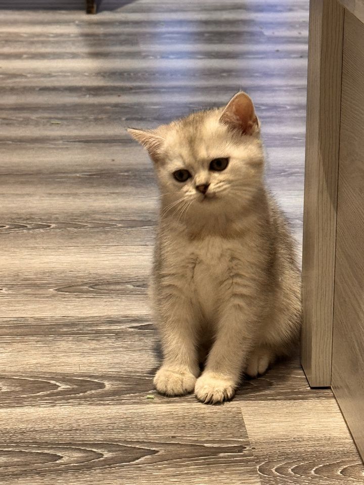 1 000 000 сум
