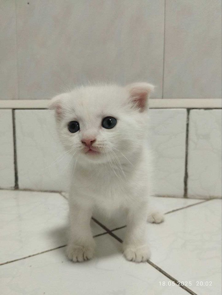 400 000 сум