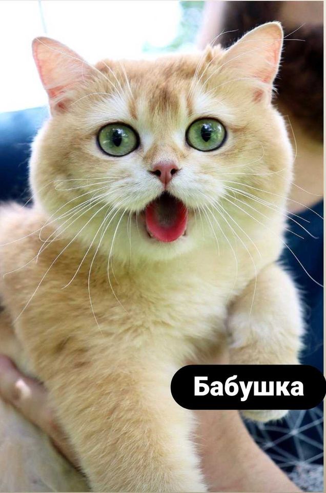 60 USD