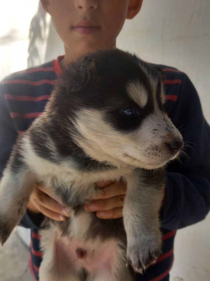 120 USD