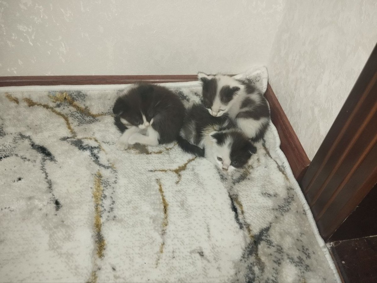 350 000 сум