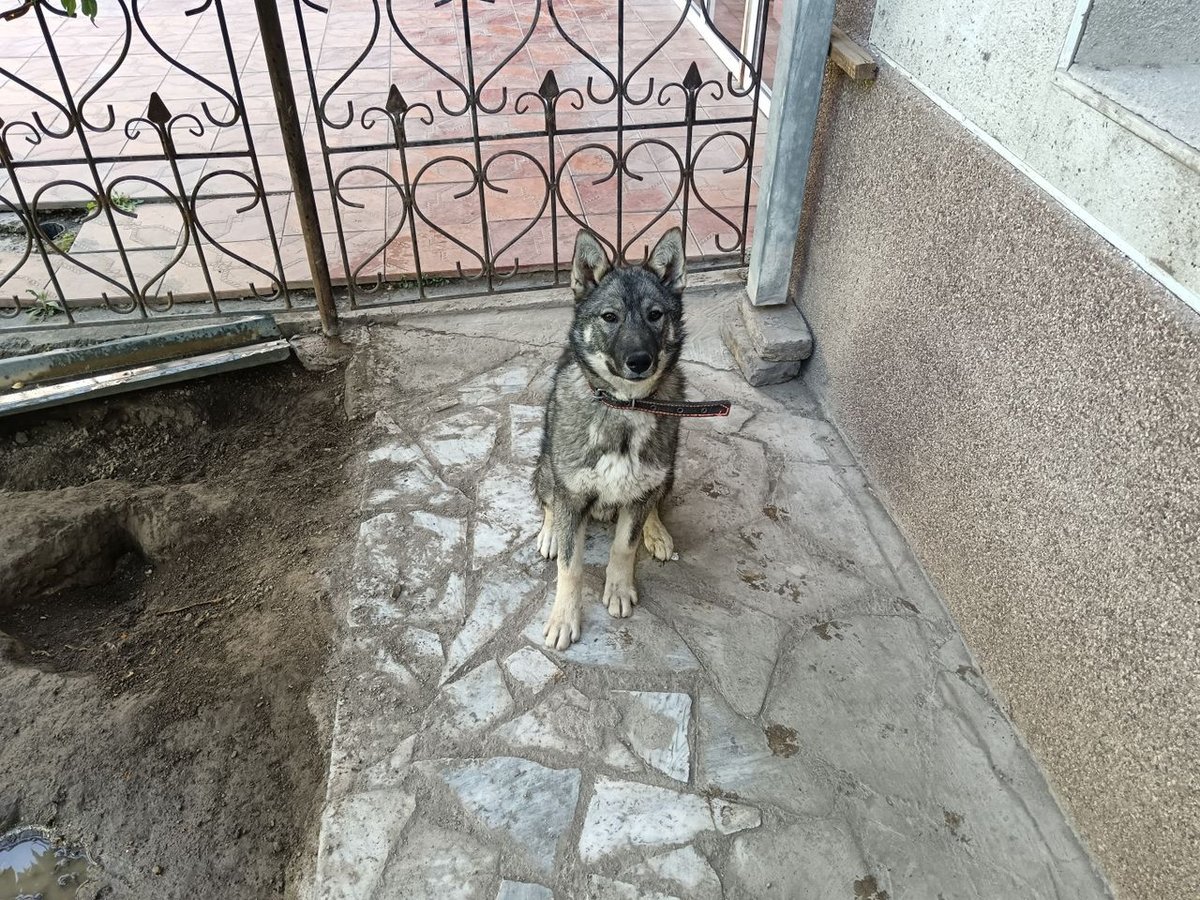 200 USD