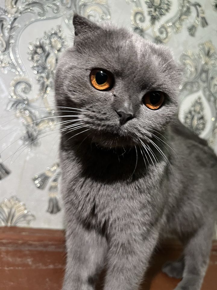 1 250 000 сум