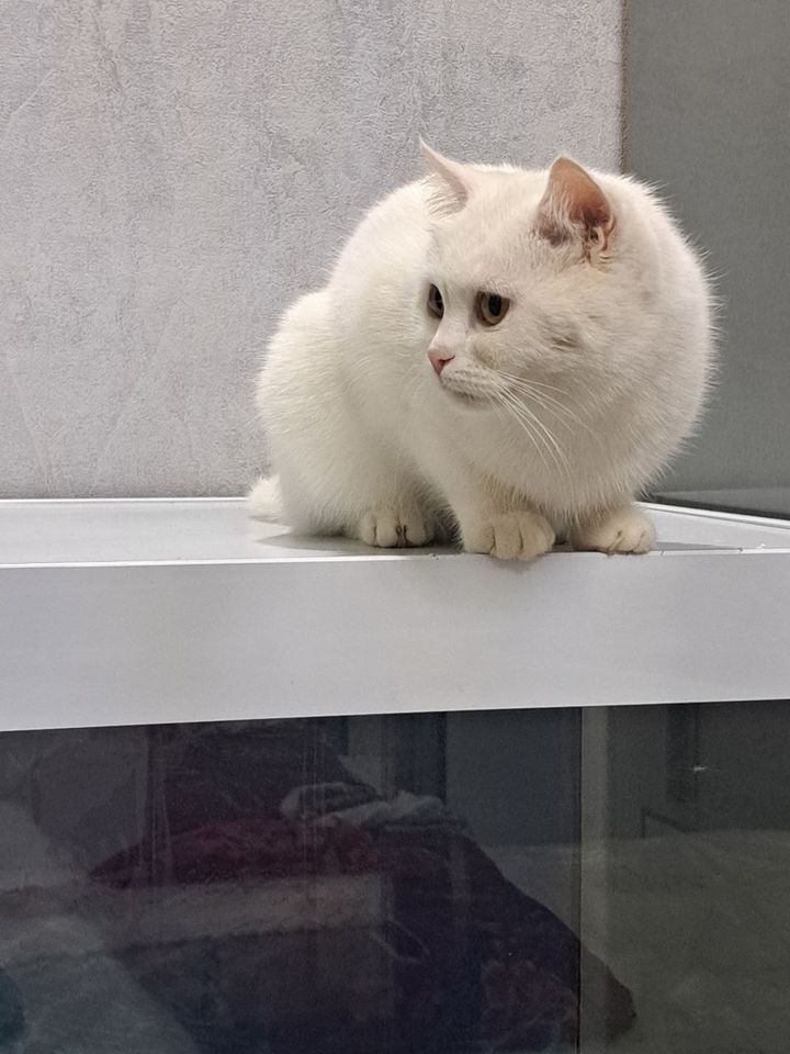 1 800 000 сум