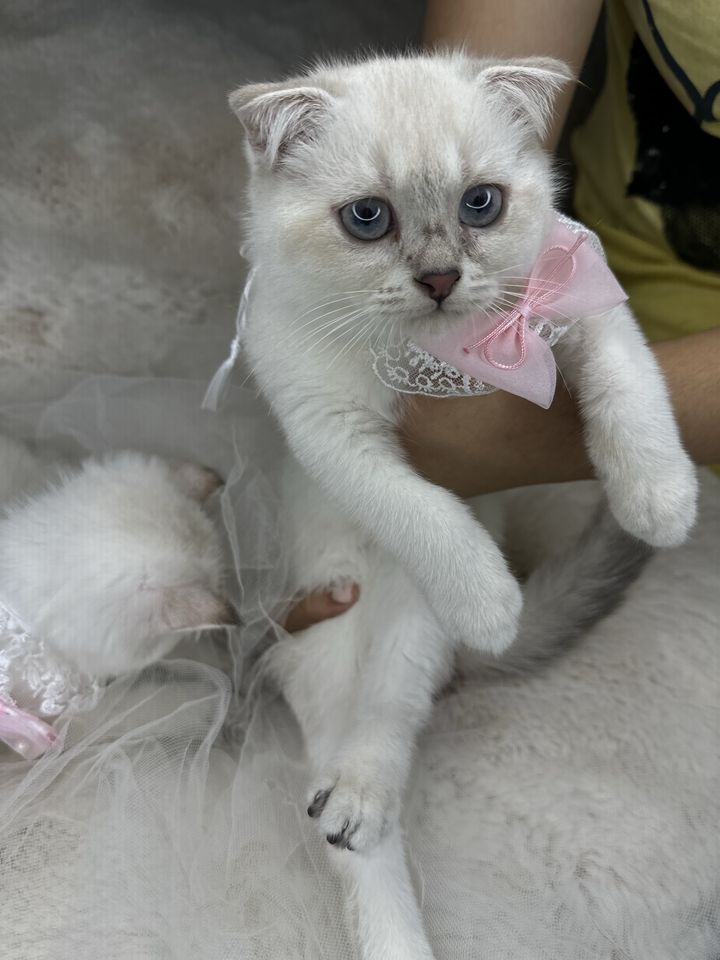 200 USD