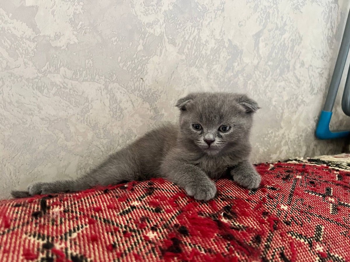 1 000 000 сум